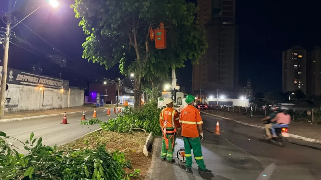 Comurg substitui jamelões e reforça arborização no Parque Amazônia