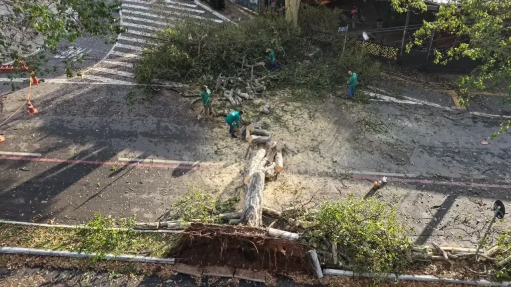 Chuvas desta quarta (21) causaram estragos e quedas de árvores em Goiânia; confira previsão para hoje