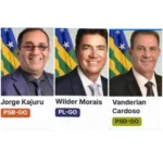 Senado aprova fim da escala 6×1: veja como votou a bancada goiana